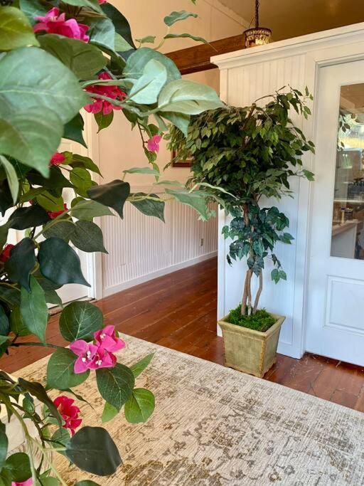 Amador City The Shopkeeper'S Cottage ~ Chic! מראה חיצוני תמונה